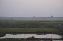 Moyen Niger II