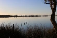 Byenup Lagoon, Muir Byenup System Ramsar site