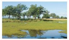 Mana Pools National Park 