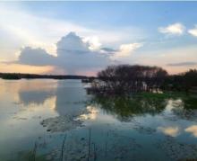 Panoramic view of Vellode Bird Sanctuary