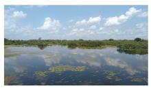 Panoramic view of karikili Bird Sanctuary