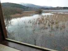 View from the bird tower in Hammervatnet.