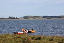 Laguna de Rocha (Stefano Barchiesi)