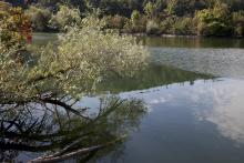 Niederried Stausee
