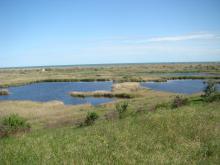 Floodplain lakes in Berda mouth