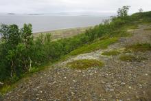 Stabbursneset