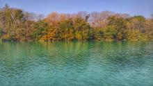Nangal wetland