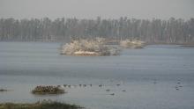 Bhindawas Wildlife Sanctuary