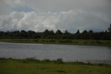 Lough Gara