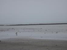 Ballycotton Bay