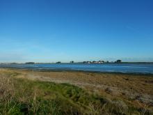 Baldoyle Bay