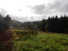Slieve Bloom Mountains Ramsar Site and adjacent rough grassland.