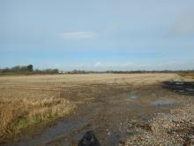 Wexford Wildfowl reserve