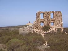 île de Rachgoun