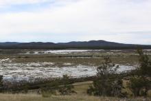 Apsley Marshes Ramsar site 1