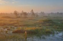Raised Bog Rozhnianskoe