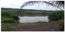 Fleuve Nyanga et ses Environs