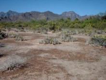 Paisaje Zona Costera