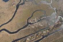 The habitat restoration in 2013 created a diversity of open water surfaces in the Ócsa Ramsar Site