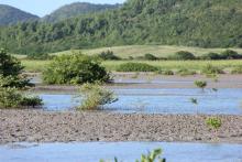 Étang des Salines