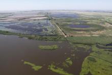 Aerial view of the Hortobágy Fishponds