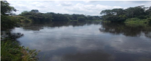 La rivière Kouyou en amont (vers Ngoko)