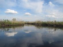 River Emajõgi