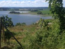 Ilene nature reserve