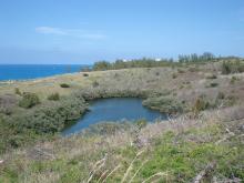 View looking Northeast across Lover’s Lake