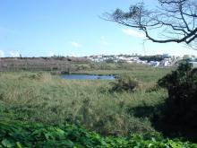 Looking to the southeast across Pembroke Marsh