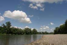 Upstream character of the Upper Tisza near the state border, with gravel shores and softwood gallery forest. 