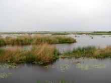 Pape Lake from the southern shore
