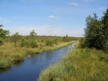 Berezyna river
