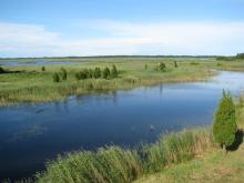 Riekstu peninsula, view from bird watching tower