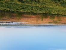 Fishpond no. 10 in Dumbravita fish farm