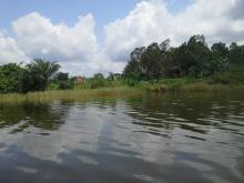 Le lac Toho
