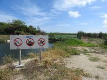 Information panel near the canal that connects Bubali Wetlands with the Caribbean Sea in the southwest of the site. The invasive water hyacinth can be seen in the background.