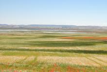Panorámica de la laguna de El Hito 