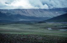 Kuussuaq/Stordalen, view towards north. Note the pingos on the valley floor.