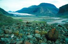 The surging glacier in the head of the valley.