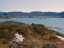 White-tailed Eagle nest overlooking the western part of the site.
