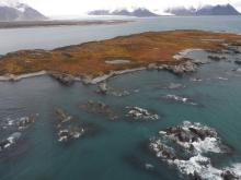 Sørkappøya