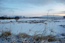 Risøysundet
