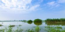 Chonghu scenery