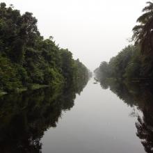 Traversée Parc National d'Azagny 