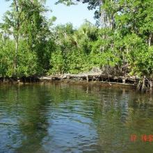 Field trip and discussions with community groups in Ramsar Site Dzilam de Bravo State Reserve.