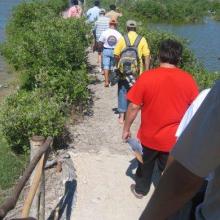 Field trip and discussions with community groups in Ramsar Site Dzilam de Bravo State Reserve.