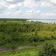 Lake Vygonoshchanskoye surrounded by transitional and fen mires