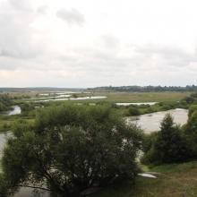 The floodplain of the Iput River