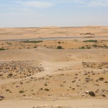 Oued As-Saqia Al Hamra à l'amont immédiat du barrage de dunes sableuses